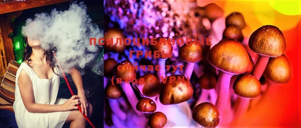 дмт Абаза