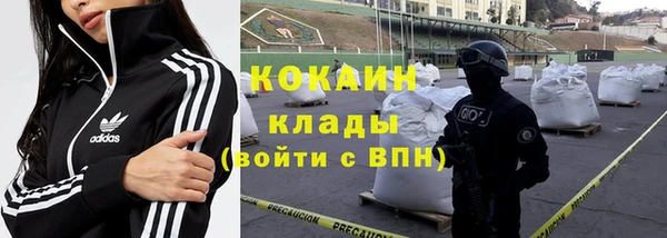 шишки Грязи