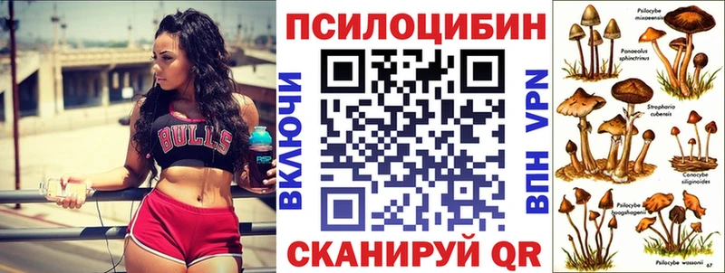 Галлюциногенные грибы Psilocybe  Нестеров 